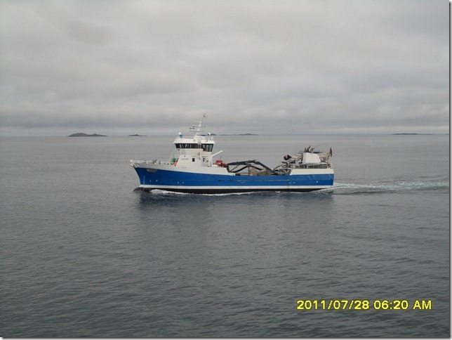 G&aring;s&ouml; Viking