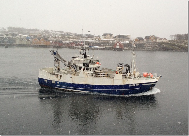 Polarfangst N-131-ME 