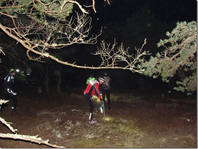 Helena Hagstr&ouml;m