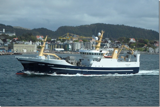 Havglans H-5-&Ouml;N