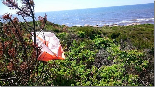 10526160_932694573463954_3870023900538048134_n