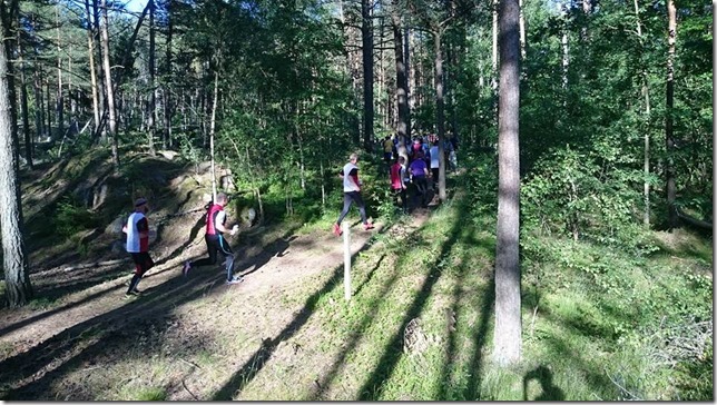 11061705_932696393463772_755254999287986367_n