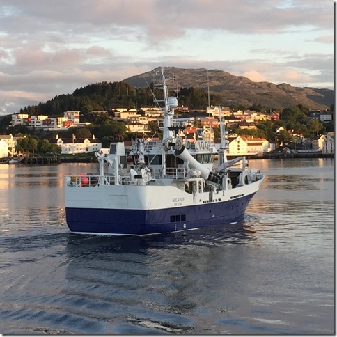 2015-08-31 20.11.04-1