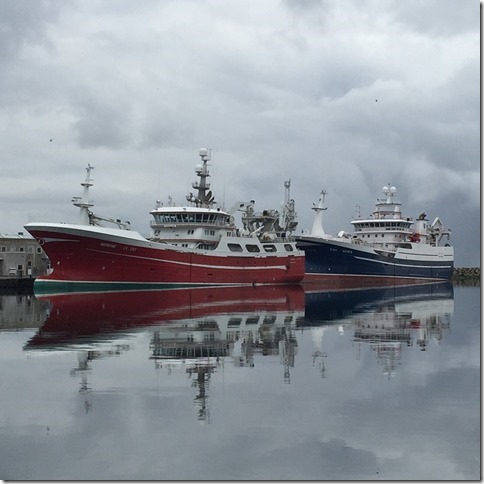 2016-03-08 13.48.56-1