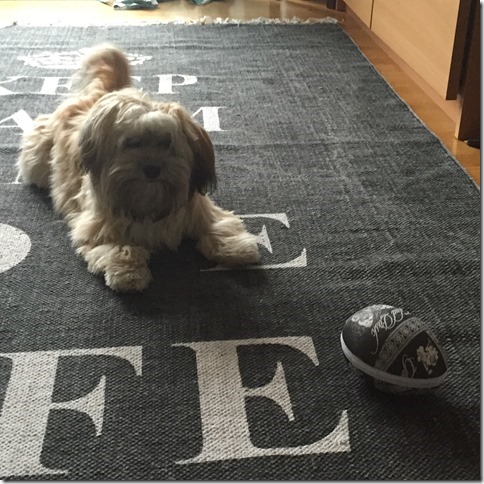 2016-03-25 09.01.21-1