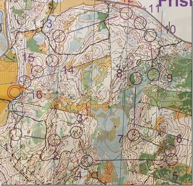 Friskustr&auml;ffen H45 2016