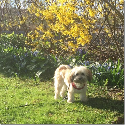 2016-05-05 08.18.36-2