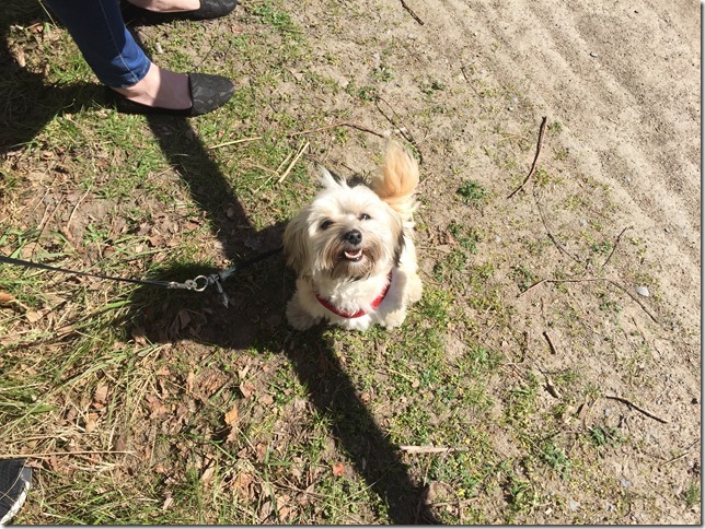 2016-05-05 14.29.01-2