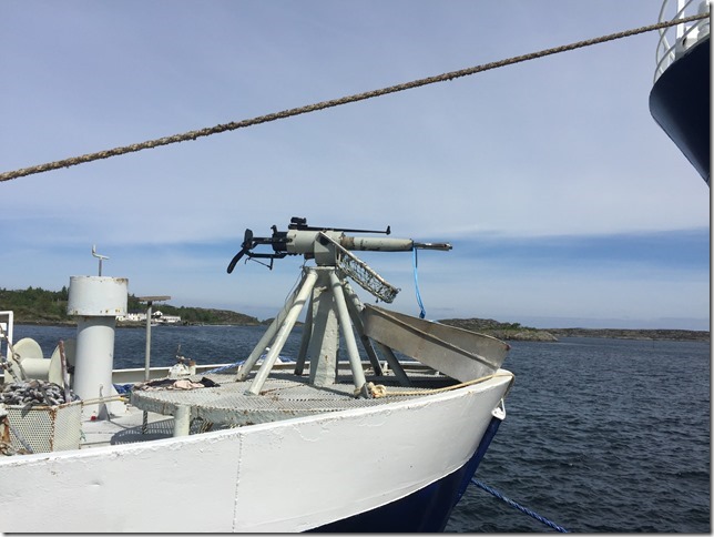 2016-06-03 12.24.58-1