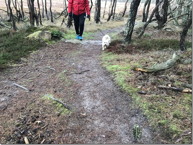 2019-01-12 10.00.34-1