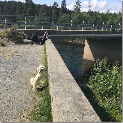 67191403_10206203319838947_6086898750779817984_o