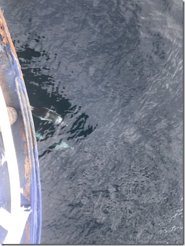 2019-09-01 10.09.25-1