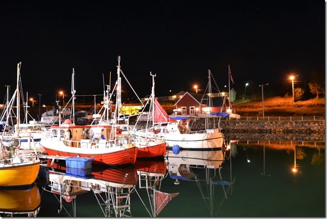 DSC_5398 (2)