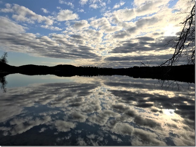 2020-04-19 07.27.55 (2)