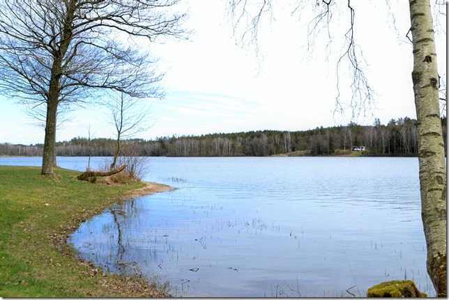 DSC_6612 (2)