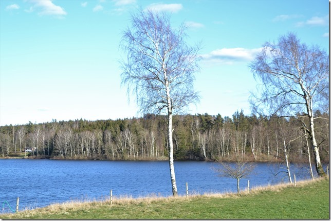 DSC_6624 (2)