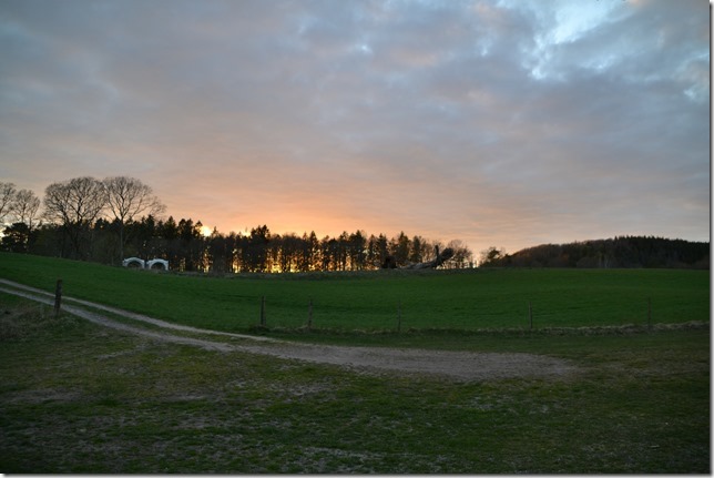 DSC_6770
