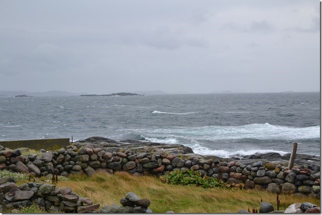 DSC_7621