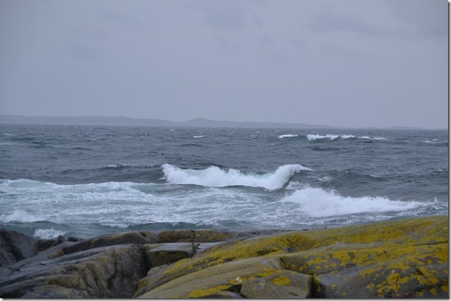 DSC_7628