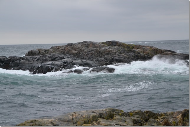 DSC_7683
