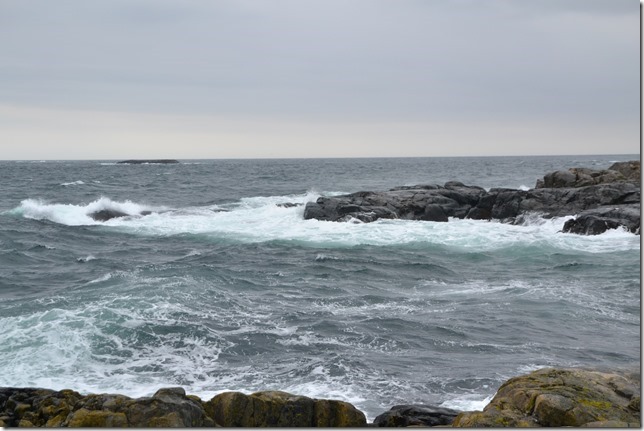 DSC_7686