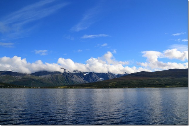 DSC_7857 (2)