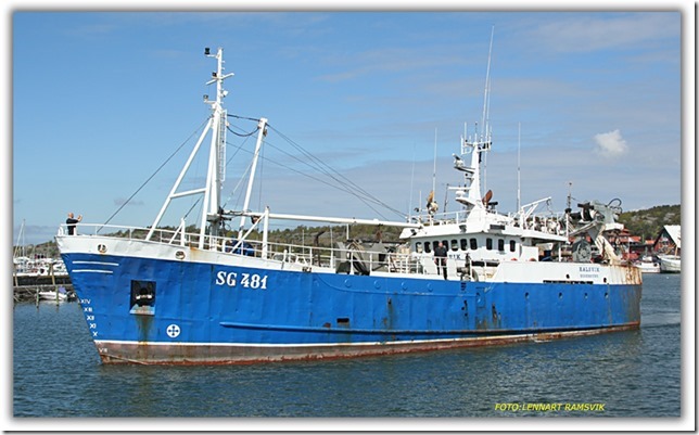 Halsvik SG 481
