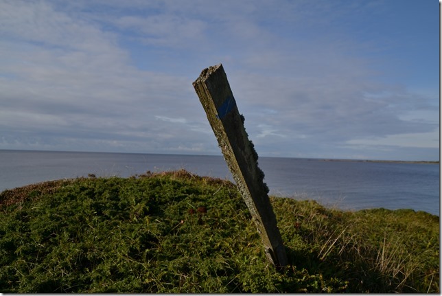 DSC_8202