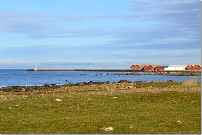DSC_8250