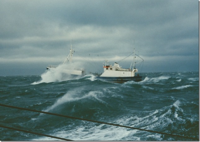 Lipton i dåligt väder