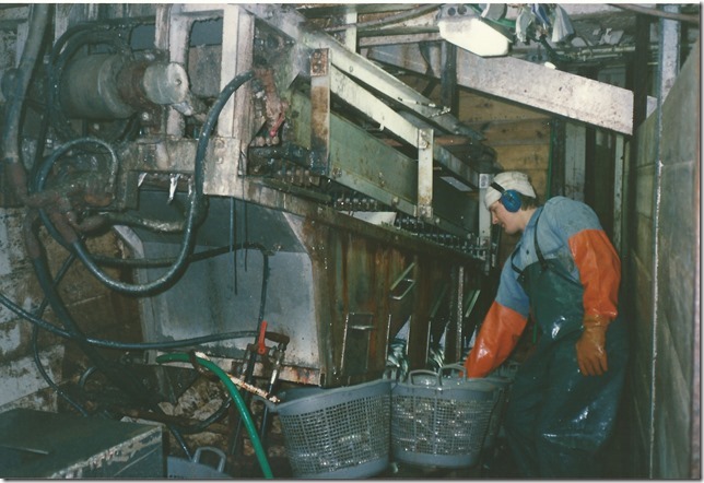 Patrik vid sorteringsmaskinen