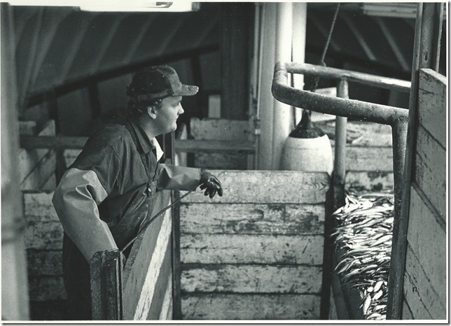 Peter bland sillen nr2