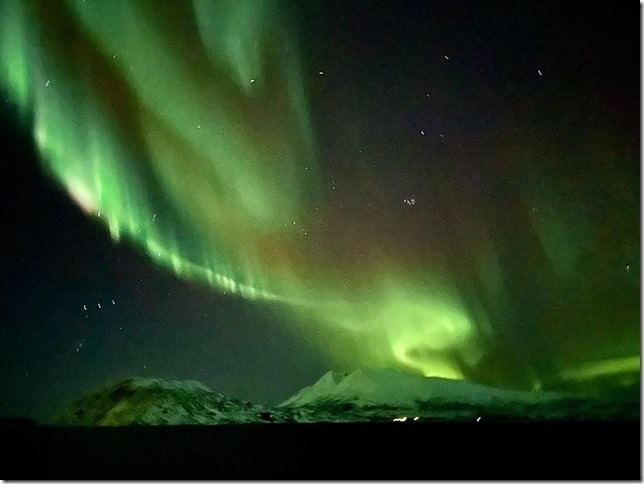 2022-02-02 00.51.41-1