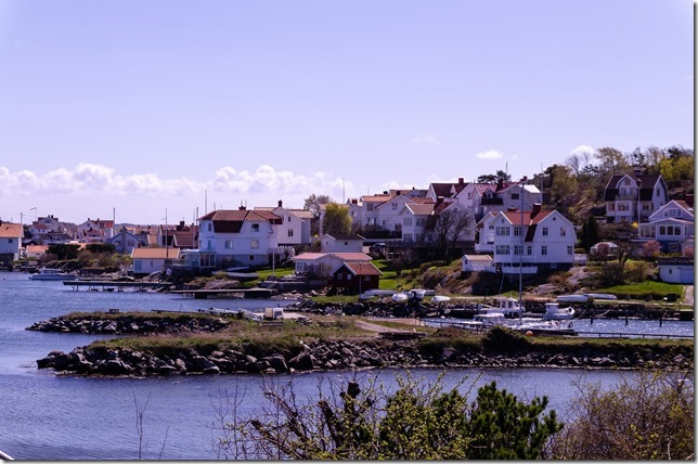 DSC_1382