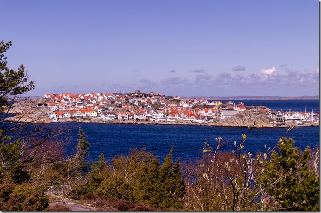 DSC_1384