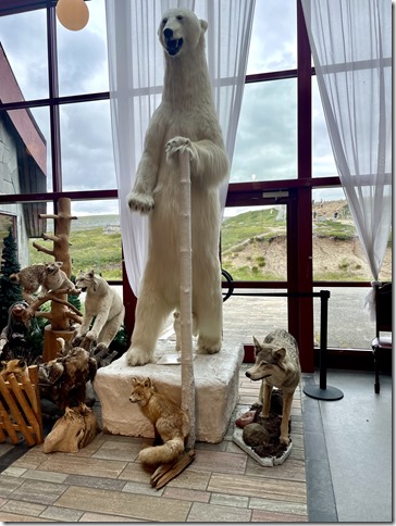 2024-07-09 13.22.19-1