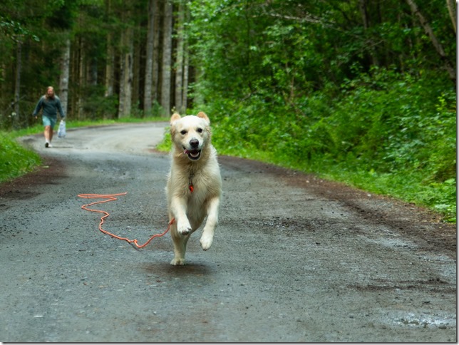 _DSC0302-F&ouml;rb&auml;ttrat-BR