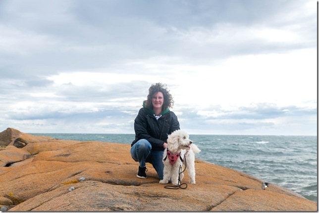 _DSC0467-F&ouml;rb&auml;ttrat-BR