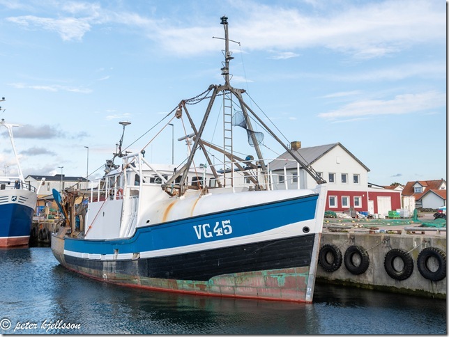 _DSC1751