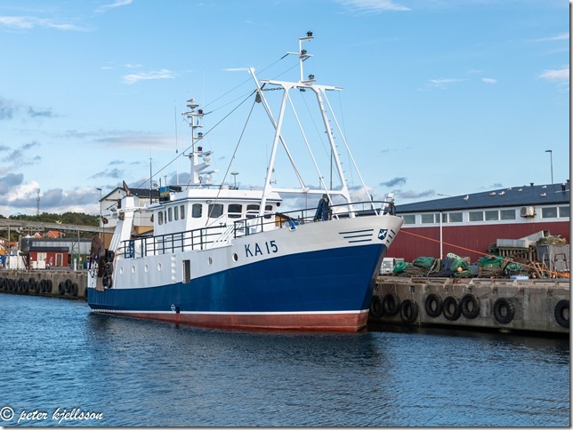_DSC1753