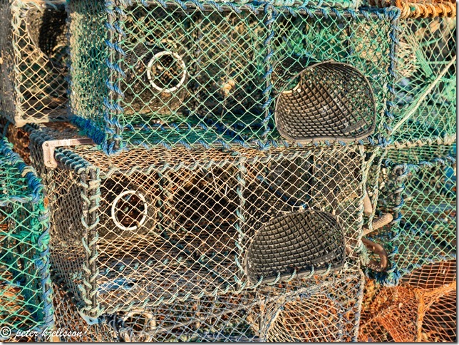 _DSC1787